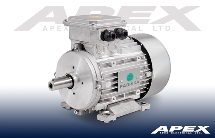 ATEX Electric Motors